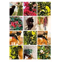 Meu projeto do curso: Visual Storytelling para sua marca pessoal no Instagram. Projekt z dziedziny  Kompoz, cja w fotografii, Stor i telling użytkownika Renata Balerine - 22.04.2020