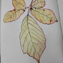 Mi diario. Un progetto di Pittura ad acquerello di susana_casillas - 22.04.2020