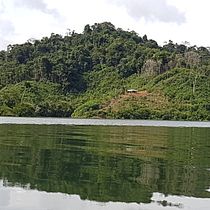 My project in Introduction to data visualisation course is about private natural reserves in Colombia.. Een project van  Creativiteit van Fernando Remolina - 23.04.2020