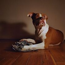 Mi Proyecto del curso: Fotografía profesional para Instagram Ein Projekt aus dem Bereich Fotografie von Martin Marques Probst - 26.04.2020