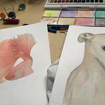 Mi Proyecto del curso. Un progetto di Pittura ad acquerello di Carmina Pardo - 27.04.2020