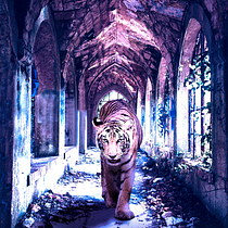 Meu projeto do curso: El Tigre. Graphic Design, and Art Direction project by Dani Meniche - 04.28.2020