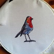 Mi petirrojo LM. Embroider project by lmoceo - 12.30.2020