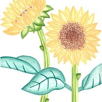 Mi Proyecto del curso: Ilustración botánica con acuarela. Pintura em aquarela projeto de Alma Melo - 17.06.2020