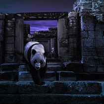 Composición Panda.. Design project by Miguel Marin - 04.29.2020
