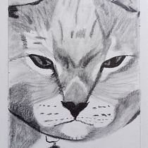 Mi Proyecto es un video del trabajo hecho durante el curso, y la cuenta de instangram en la que lié publicando poco a poco mis dibujos. . Un progetto di Disegno di Penelope Romero Rumi - 01.05.2020