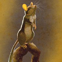 Mi Proyecto del curso: Ilustración naturalista de animales con Procreate. Un proyecto de Ilustración tradicional, Infografía y Pintura digital de Adrian Yugo - 02.05.2020