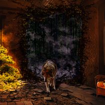 Mi Proyecto del curso: Secretos del fotomontaje y el retoque creativo - Okami. Collage, Concept Art, Editorial Design, and Commercial Photograph project by Adolfo Vizgarra - 05.02.2020
