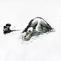 My project in Introduction to Children’s Illustration course - The ugly duckling. Children's Illustration project by Pär Jorwén - 05.03.2020
