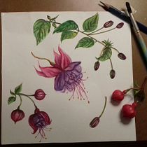 Mi Proyecto del curso: Creación de marca basada en tus propios estampados. Ilustração botânica projeto de Tania Delgado - 05.05.2020