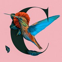 My project in Textile Prints with Digital Techniques - Colibri Bird. Pintura digital projeto de constantinescucalin - 06.05.2020