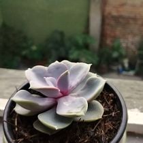 Mi Proyecto del curso: Fotografía profesional para Instagram. Een project van Instagram van Fabiola Martinez - 08.05.2020