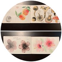 My Project in Illustration of a Nature Diary course. Un progetto di Pittura ad acquerello di Tamara Prado Angulo - 07.05.2020