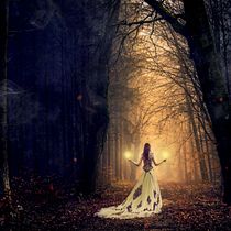 Forest. Photographic Composition, Photograph, and Fine-Art Photograph project by annydl71 - 05.07.2020