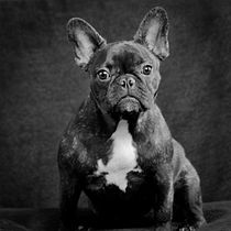 Mi Proyecto: Panela. Un projet de Photographie , et Photographie de portrait de Cesar Tejada - 09.05.2020