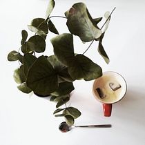 Mi Proyecto del curso: Fotografía profesional para Instagram. Een project van Mobiele fotografie van stepf_9 - 10.05.2020