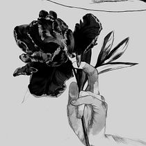 Meu projeto do curso: Retrato criativo em chiaroscuro com lápis(digital). Un projet de Illustration botanique et Illustration numérique de Mirian Sawada - 11.05.2020