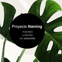 Mi Proyecto del curso: Naming: Macetas y más en concreto.. Un projet de Art urbain, Décoration , et Naming de Gabby Castro Corrales - 12.05.2020