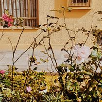 Mi Proyecto del curso: Fotografía profesional para Instagram. Een project van  Creativiteit, L y scaping van karimrodriguez5 - 13.05.2020