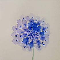 Mi Proyecto del curso: Técnicas aplicadas de ilustración en acuarela. Un progetto di Illustrazione botanica di RAQUEL SALAMANCA BARRIO - 14.05.2020