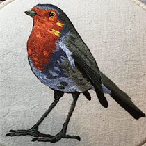 Mi Proyecto del curso: Pintar con hilo: técnicas de ilustración textil. Embroider project by adela.medvet - 05.15.2020