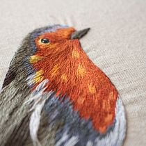 Petirrojo en cuarentena. Embroider project by valentinainescontreras - 05.16.2020