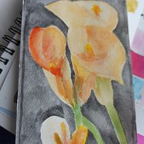 Mi paleta de color con acuarela. Un progetto di Illustrazione tradizionale di soniareinoso - 16.05.2020