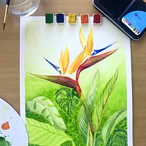 Mi Proyecto Final del curso: Técnicas de acuarela en negativo para ilustración botánica Ein Projekt aus dem Bereich Bildende Künste von natalydelgado63 - 17.05.2020