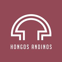 Diseño de marcas con retícula - Proyecto HA. Logo Design project by Martín Delgado - 05.28.2020