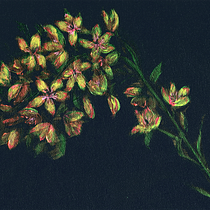 My project in Botanical Painting with Acrylic course. Acr, lic Painting, Traditional illustration, Fine Arts, Painting, and Botanical Illustration project by ingridf - 05.19.2020