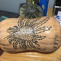 Cannabis Flower on Melon and Squash. Tattoo Design project by NataLee Doud - 05.19.2020