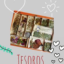 Proyecto de flores prensadas. Un projet de Créativité de ltejedoresteban - 20.05.2020