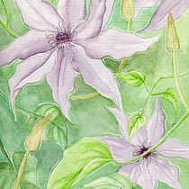 My project in Negative Watercolor Painting for Botanical Illustration course Ein Projekt aus dem Bereich Aquarellmalerei von Victoria Dunsmore - 21.05.2020