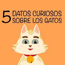 Mi Proyecto del curso: Animación exprés para redes sociales con After Effects - 5 datos curiosos sobre los gatos. Animação projeto de Álvaro Maillo Pérez - 21.05.2020
