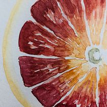 Mi Proyecto del curso: Cuaderno botánico en acuarela. Un progetto di Illustrazione tradizionale, Illustrazione botanica e Pittura ad acquerello di Natalia Jonard - 23.05.2020