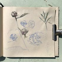 Mi Proyecto del curso: Cuaderno botánico en acuarela. Un progetto di Illustrazione botanica di miriam_maria_st - 23.05.2020