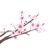 Meu projeto do curso: Ilustração em aquarela com influência japonesa. Un proyecto de Pintura a la acuarela de Déa Shirado - 24.05.2020