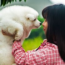 Mi Proyecto del curso: una clínica veterinaria. Projekt z dziedziny Stor i telling użytkownika Rocío Elizabeth Villegas - 25.05.2020