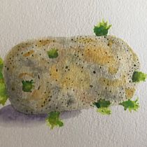 el kartoflo - My project in Modern Watercolor Techniques course. Un progetto di Pittura ad acquerello di Magdalena Julkowska - 24.05.2020