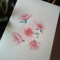 Mi Proyecto del curso: Ilustración botánica con acuarela. Ilustração botânica projeto de Adriana Salgado - 12.06.2020