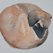 Meu projeto do curso: Nala (cachorro dormindo). Watercolor Painting project by Talita Castro - 05.24.2020