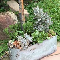 Mi Proyecto del curso: Mini jardín. Un progetto di Paesaggismo di milmagarcia56 - 26.05.2020