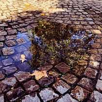 Reflejos y adoquines. Photographic Composition, Photograph, Mobile Photograph, Outdoor Photograph & Instagram Photograph project by Gonzalo Ruiz Mauger - 05.27.2020