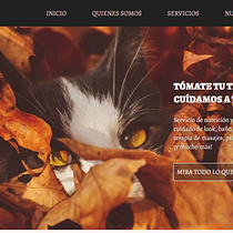 Mi Proyecto del curso: Técnicas de desarrollo web con HTML5 y CSS3. Desenvolvimento Web, e Web Design projeto de prashant.ml.dev - 04.06.2020