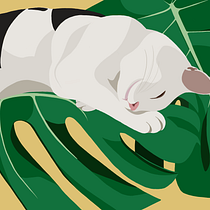 Mi Proyecto del curso: Ilustración digital con Procreate. Digital Illustration project by nlopezpozo - 05.28.2020