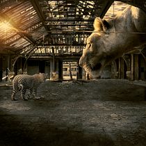 Mi Proyecto:  Acechando o acechado?. Photo Retouching project by javier_alonso_badano - 05.28.2020