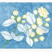 Mi Proyecto del curso: Técnicas de acuarela en negativo para ilustración botánica Ein Projekt aus dem Bereich Aquarellmalerei von Olivia Ortíz de Pinedo - 29.05.2020