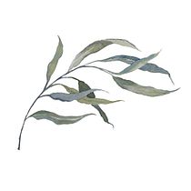 Mi Proyecto del curso: Técnicas aplicadas de ilustración en acuarela. Un progetto di  di Olivia Fregoso - 04.02.2020