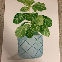 My project in Botanical Illustration with Watercolors course. Ilustração botânica projeto de tarijensen1 - 01.06.2020