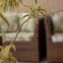 Meu projeto do curso: Fotografia de interiores. Un projet de Architecture d'intérieur de Fernando Garcia Piva - 09.06.2020